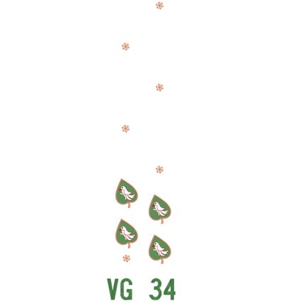 VG 34